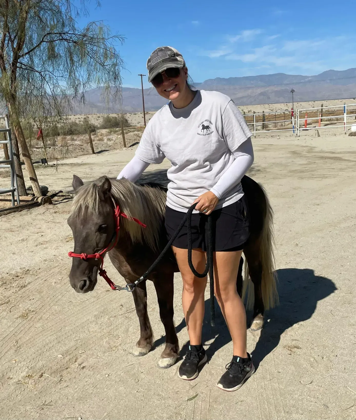 Chico the miniature horse