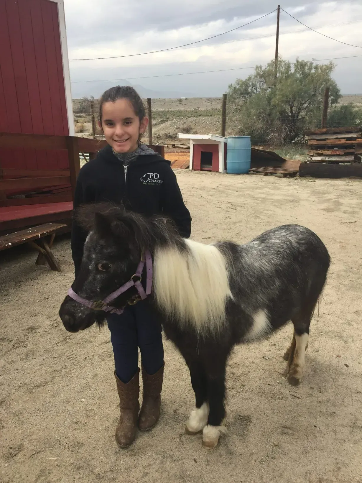 Oreo Cookie the black-and-white pony