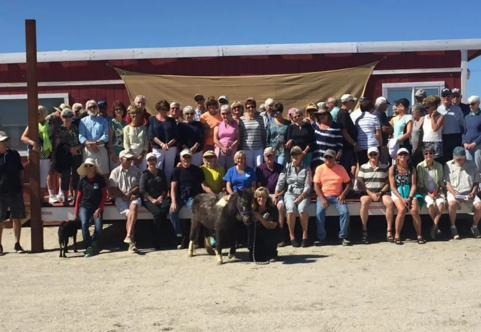Coachella Valley Horse Rescue horse and rider