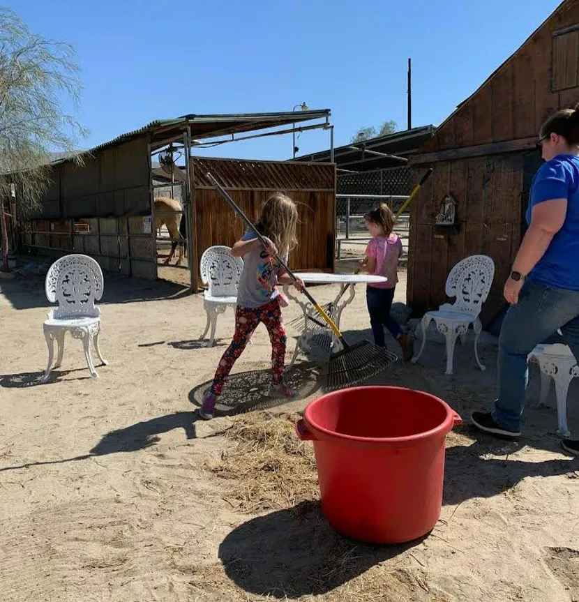 Children raking hay near the stables as part of a ranch beautification service project