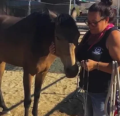 Cherie Dunham, Vice President of Coachella Valley Horse Rescue