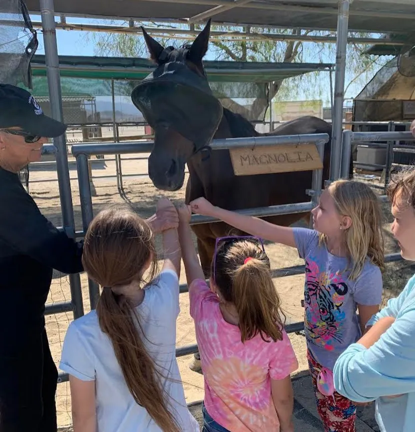 Children petting a horse named Magnolia through a fence with a volunteer’s help