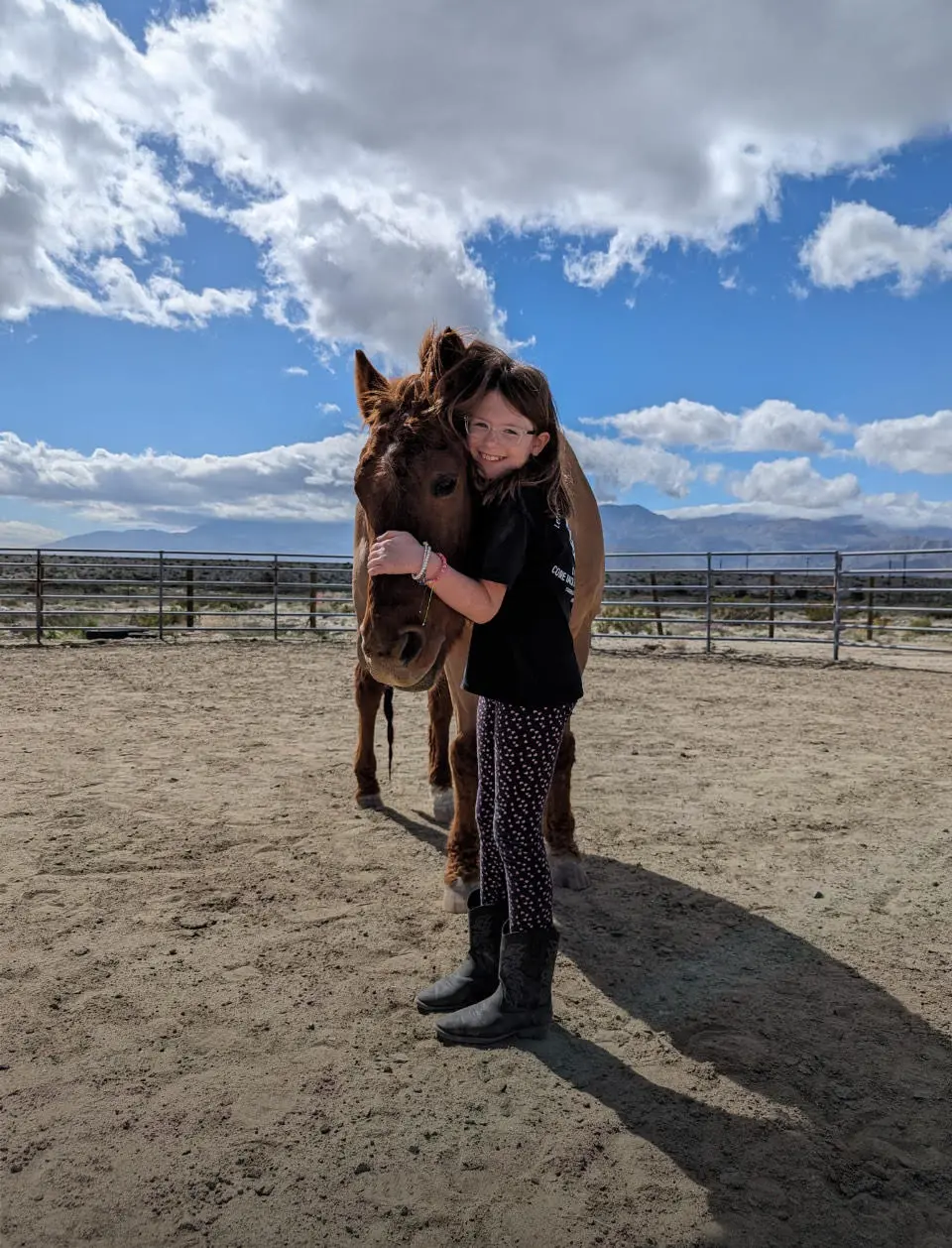 A young girl hugging a horse in a round pen
